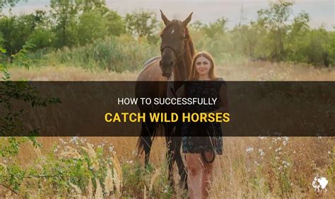 is it legal to catch wild horses